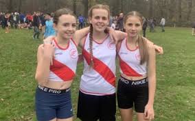 Image result for Havant Basketball Club