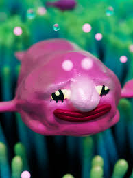 Image result for blobfish