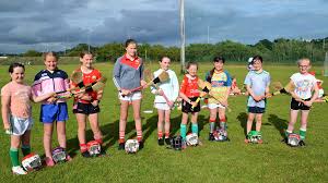 Image result for St Rita`s Camogie Club