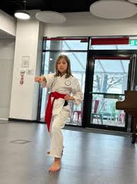 Image result for Ryusui-ryu Martial Arts School East Grinstead