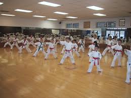Image result for Springwood Karate