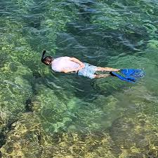 Image result for Great Torrington Bowling Club