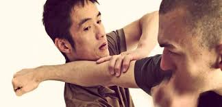 Image result for Kamon Wing Chun