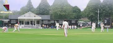 Image result for Wilden Village Cricket Club