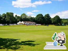 Image result for Barnt Green Sports Club