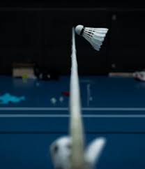 Image result for Rowledge Badminton Club