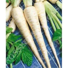 Attēlu rezultāti vaicājumam “Polemonium caeruleum fruit”