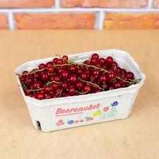 Bildergebnis für rote johannisbeeren