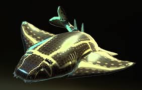 Image result for Squatina squatina