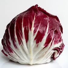 Image result for Chicorée