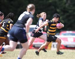 Image result for Barking Rugby Union Football Club