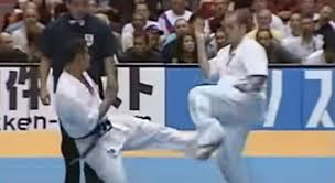 Image result for Kyokushin Karate