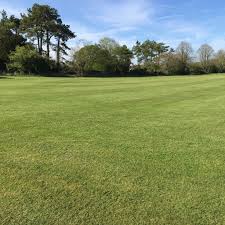 Image result for All Cannings Cricket Club
