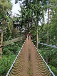 Image result for Go Ape! Thetford
