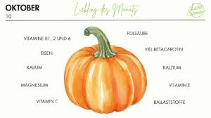 Image result for Kürbis