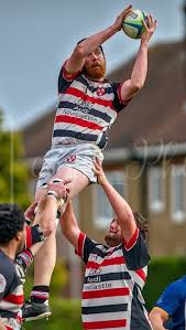 Image result for Novocastrians Rugby Football Club