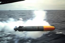 Image result for Torpedo torpedo