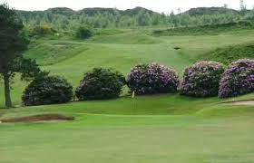 Image result for Stocksbridge Tennis Club