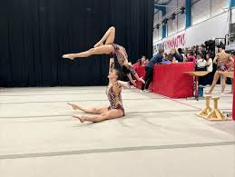 Image result for Spelthorne School Of Gymnastics