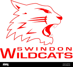 Image result for Swindon Panthers