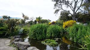 Image result for Southsea Common Bowling Greens