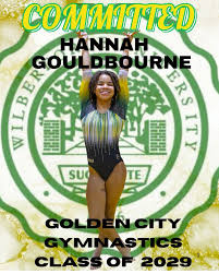 Image result for Blandford Forum Gymnastics & Kanga Club