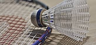 Image result for Racqueteers Junior Badminton Club