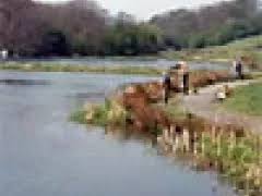 Image result for Cheadle Angling Club