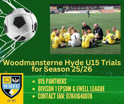 Image result for Woodmansterne Sports Fc