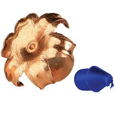 Image result for Burntisland Bullets