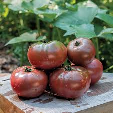 Afbeeldingsresultaat voor dark purple beefsteak tomato