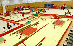 Image result for Europa Gymnastics Club, Bexley