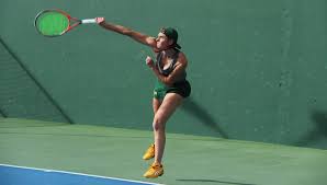 Image result for Whitton Tennis Club