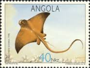 Image result for Myliobatis aquila