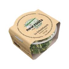 Image result for Schnittlauch