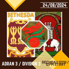 Image result for Clwb Criced A Bowlio Bethesda