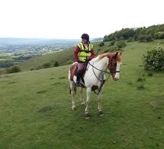 Image result for Bookham Riding School