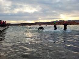 Image result for Stourport Triathlon Club