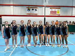 Image result for Futureprint Tmts Netball Club