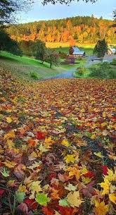 Bildergebnis für Fall…