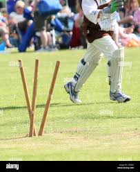 Image result for Carlton Cricket Club
