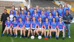 Image result for Erin`s Own Gaelic Athletic & Social Club