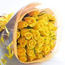 「花薔薇エルフ」の画像検索結果