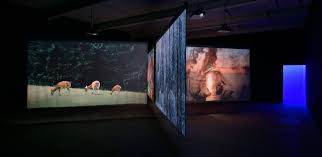 Image result for christian boltanski