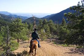 Image result for Old Park Riding Stables