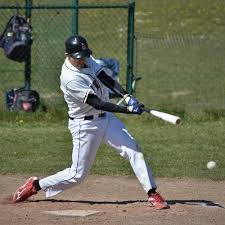 Image result for Herts Falcons