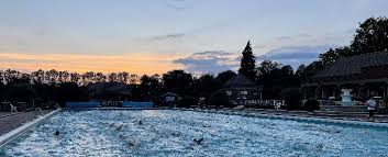 Image result for Hitchin Swimming Club