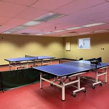 Image result for Evergreens Badminton Club