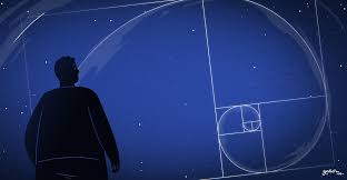 Image result for numero aureo