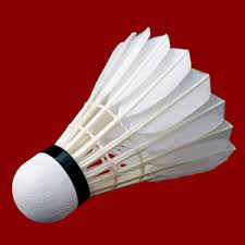 Image result for Colne Badminton Club